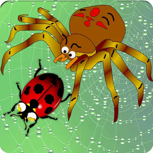 Play Spiders APK