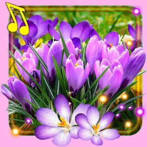 Free play online Spring Crocus Snow APK