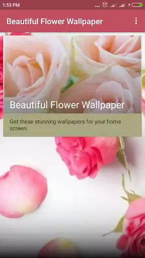 Play Spring Flower Blossom Wallpaper  and enjoy Spring Flower Blossom Wallpaper with UptoPlay