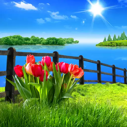 Free play online Spring Live Wallpaper  APK