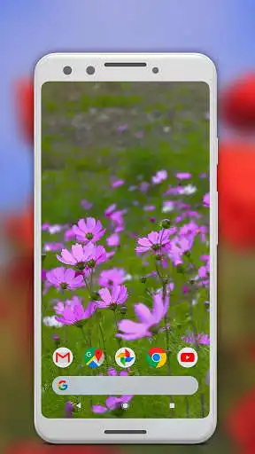 Play Spring Natural Flowers Live Video Wallpaper  and enjoy Spring Natural Flowers Live Video Wallpaper with UptoPlay