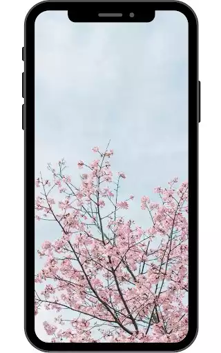 Play Spring wallpaper  and enjoy Spring wallpaper with UptoPlay