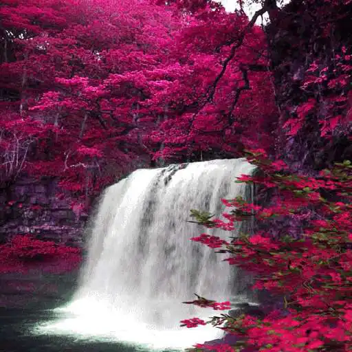 Play Spring Waterfall Live Wallpaper APK