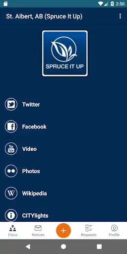 Play Spruce It Up