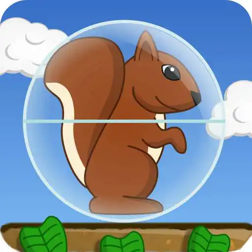 Run free android online Squirrel Ball APK