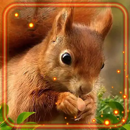 Play Squirrels Forest HD APK