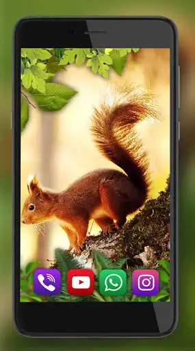 Play Squirrels Forest HD as an online game Squirrels Forest HD with UptoPlay