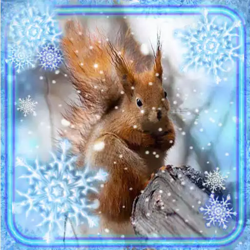 Play Squirrel Winter Live Wallpaper APK