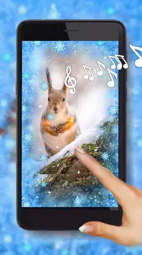 Play Squirrel Winter Live Wallpaper  and enjoy Squirrel Winter Live Wallpaper with UptoPlay