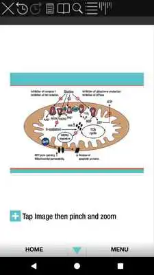 Play Statins and SAMS