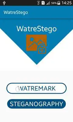 Play Steganography and watermark