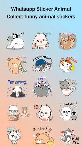 Play Stiker WA Bergerak Lucu Whatsapp Sticker Animal as an online game Stiker WA Bergerak Lucu Whatsapp Sticker Animal with UptoPlay