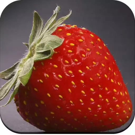 Play Strawberry Wallpaper HD APK