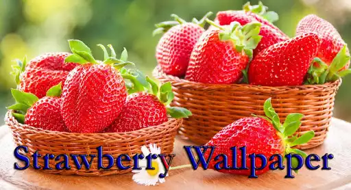 Play Strawberry Wallpaper HD  and enjoy Strawberry Wallpaper HD with UptoPlay