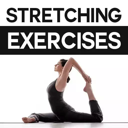 Free play online Stretching Exercises APK