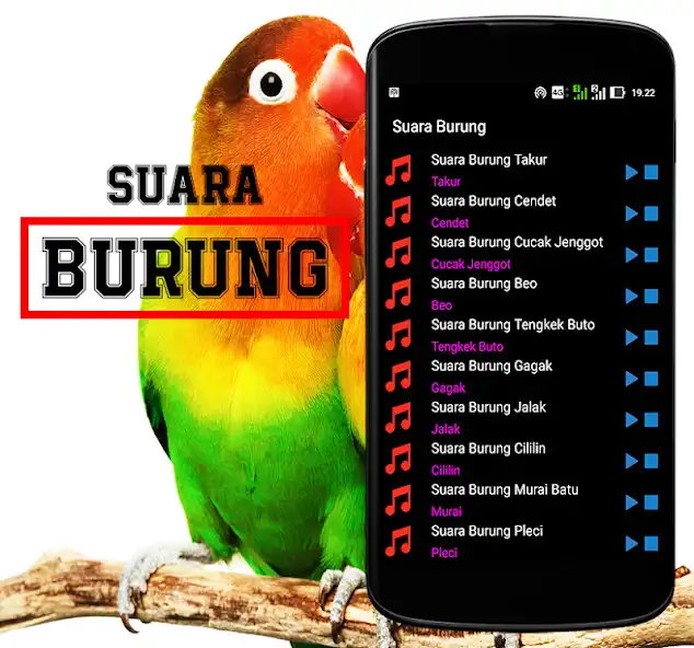 Play Suara Burung ( kicau ) as an online game Suara Burung ( kicau ) with UptoPlay