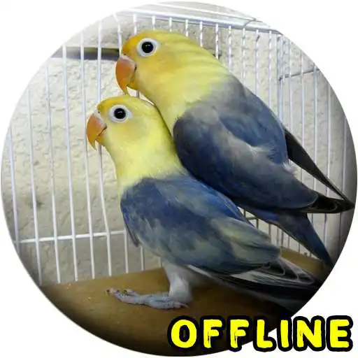 Free play online Suara Burung Lovebird Kawin MP3 APK