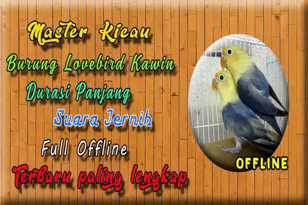 Play Suara Burung Lovebird Kawin MP3