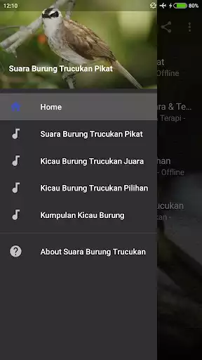 Play Suara Burung Trucukan Pikat  and enjoy Suara Burung Trucukan Pikat with UptoPlay