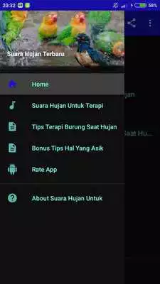 Play Suara Hujan Untuk Terapi Burung