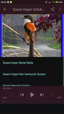 Play Suara Hujan Untuk Terapi Burung