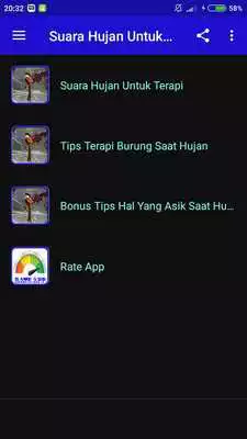 Play Suara Hujan Untuk Terapi Burung