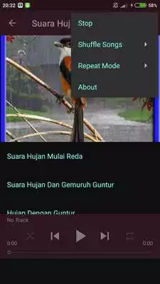 Play Suara Hujan Untuk Terapi Burung