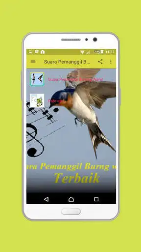 Play APK Suara Pemanggil Burung Walet Terbaru  and enjoy Suara Pemanggil Burung Walet Terbaru with UptoPlay com.prastowo.suarapemanggilburungwaletterbaik