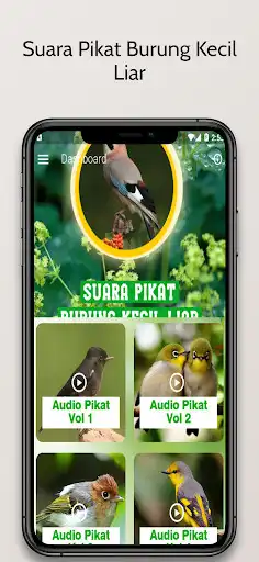 Play Suara Pikat Burung Kecil Liar  and enjoy Suara Pikat Burung Kecil Liar with UptoPlay