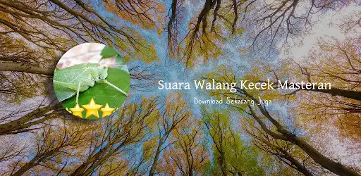 Play Suara Walang Kecek  and enjoy Suara Walang Kecek with UptoPlay