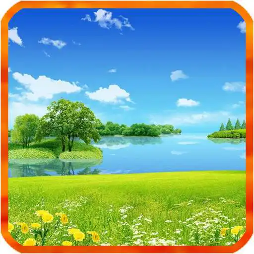 Free play online Summer Live Wallpapers  APK