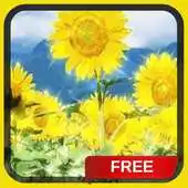 Free play online Summer Sunflowers Live Wallpap APK