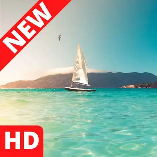 Play Summer Wallpapers HD APK