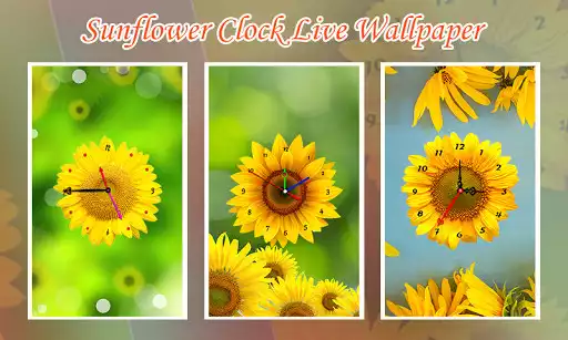 Play Sunflower Clock Live Wallpaper  and enjoy Sunflower Clock Live Wallpaper with UptoPlay