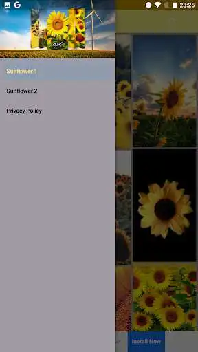 Play Sunflower Wallpapers App as an online game Sunflower Wallpapers App with UptoPlay