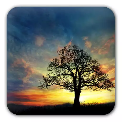 Play Sunset Hill Free LiveWallpaper APK