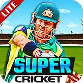 Free play online Super Cricket Championship APK