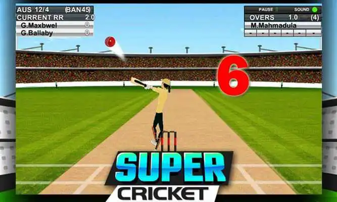 Play Super Cricket Championship