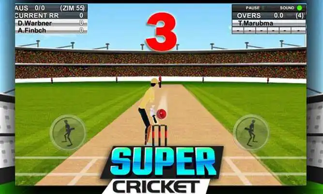 Play Super Cricket Championship