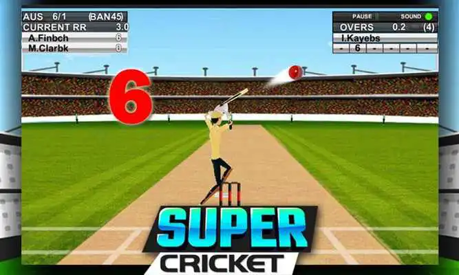 Play Super Cricket Championship