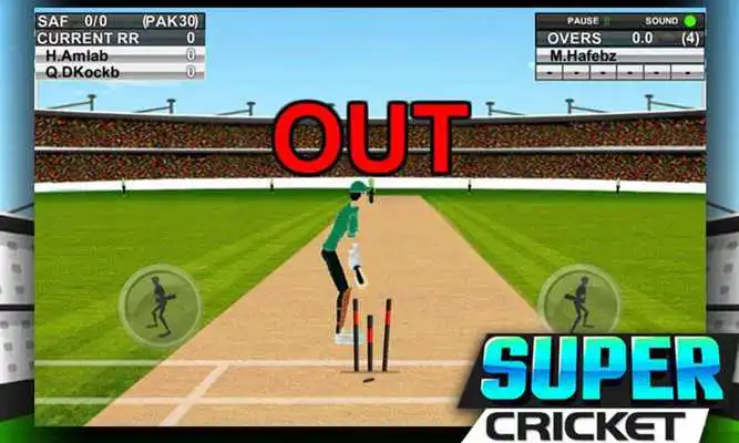 Play Super Cricket Championship