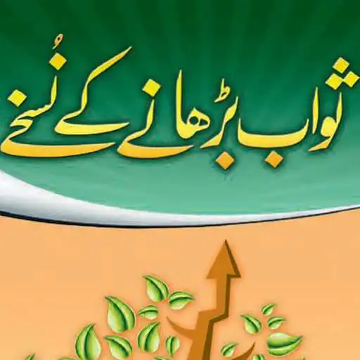 Play Swabi Nuskhy Offline PDF APK