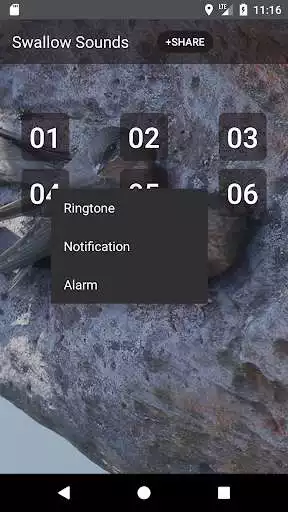 Play Swallow Sounds  Ringtones as an online game Swallow Sounds  Ringtones with UptoPlay