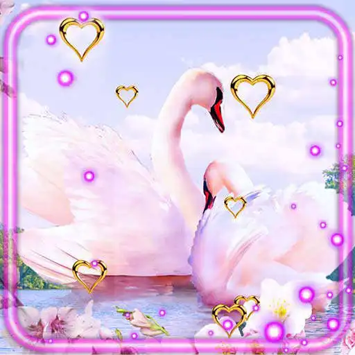 Play Swans Valentine Live Wallpaper APK