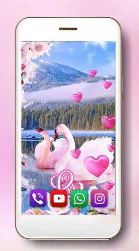 Play Swans Valentine Live Wallpaper  and enjoy Swans Valentine Live Wallpaper with UptoPlay