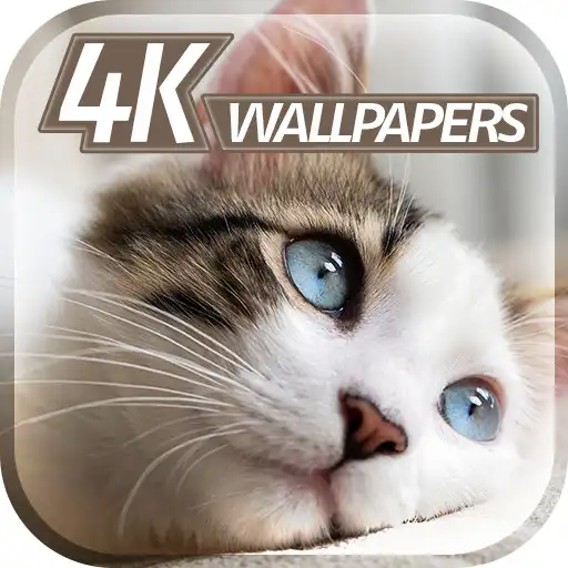 Play Sweet Animals Wallpapers APK