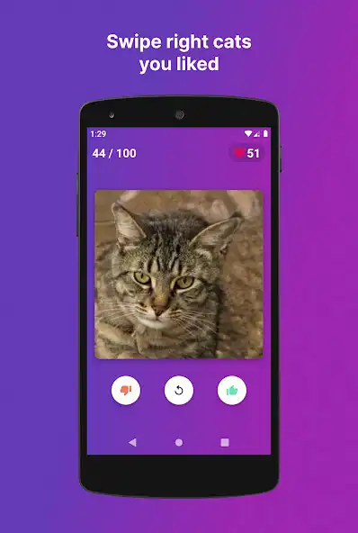 Play Swipe the Kitten  and enjoy Swipe the Kitten with UptoPlay