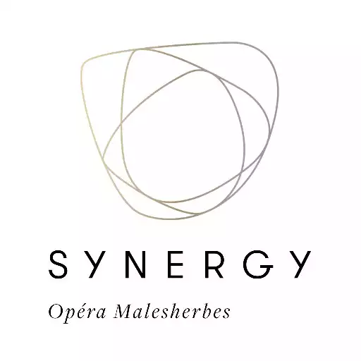 Play Synergy APK