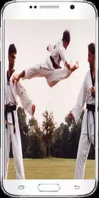 Play Taekwondo Coach