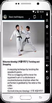 Play Taekwondo Coach